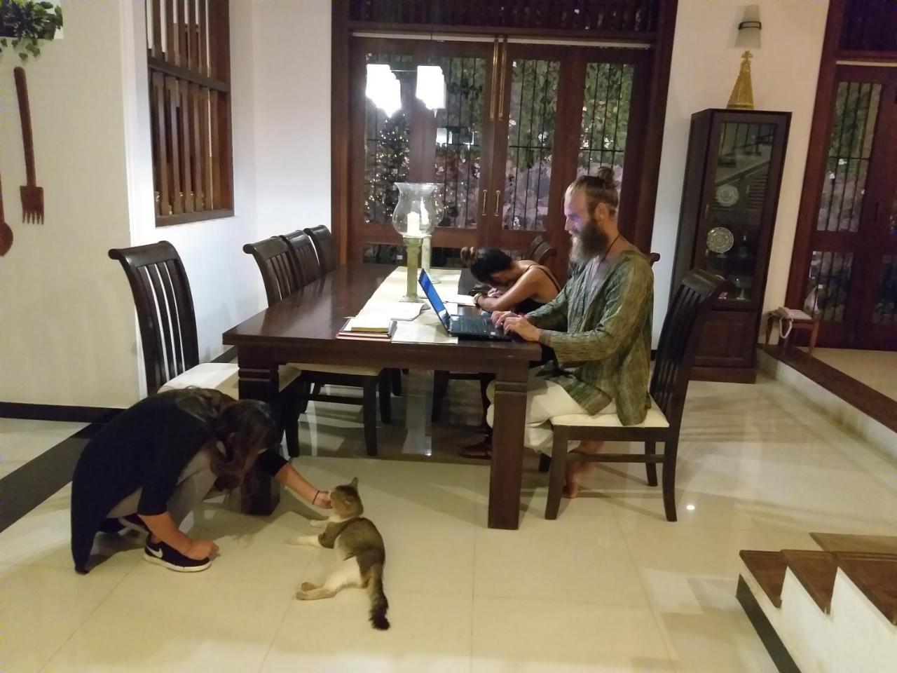 Cosy Nest Home Stay 니곰보 객실 사진